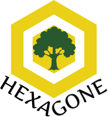 Hexagone
